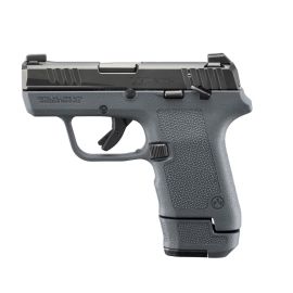 Ruger LCP Max 23702
